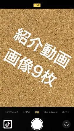 紹介動画や思い出動画