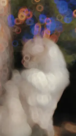 Trending Slow Motion