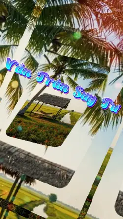Vần trán suy tư 