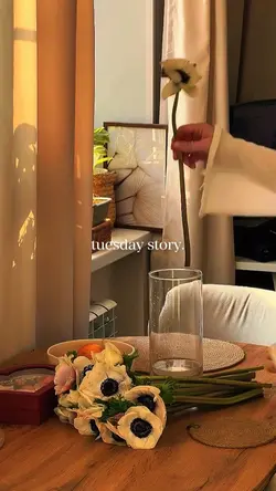 tuesday story