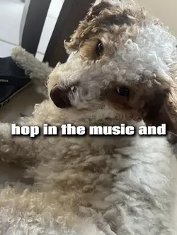 rock yo body