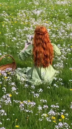 fairy dreams