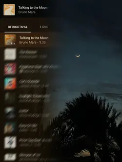 Talking To The Moon