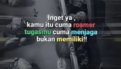 user roam