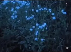 Keşfet ol