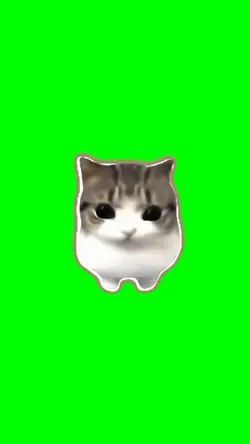 Dum Dum Didi cat