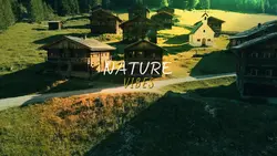 NATURE VIBES