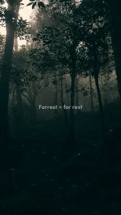 Forrest = for rest