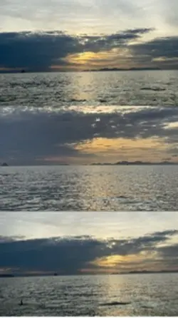 1video+2photo