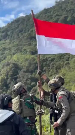 petir dalam hutan 