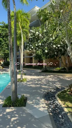 summer diaries