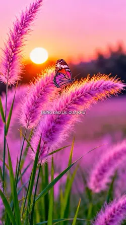 Đừng đào lại quá khứ