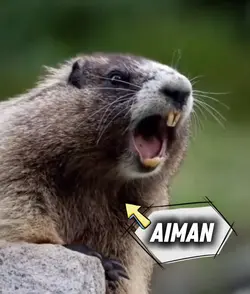 AIMAN