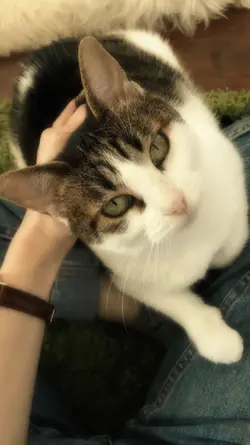 Soft photo