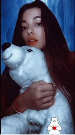 Teddy Bear