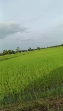 สร้างแรงบันดาลใจ