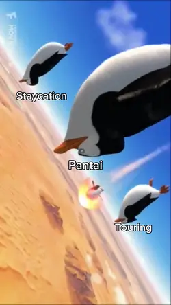 Bigdawgs Template