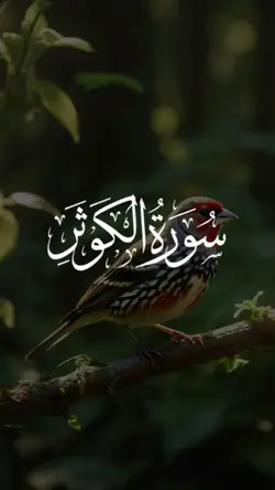 Surat Al kousar and 