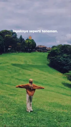 Layaknya tanaman