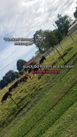 DD HIT EM W A SCREAM