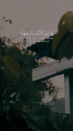 story qur'an