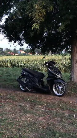 cine 3klip kece