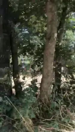 Slo mo template 