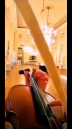 Violon