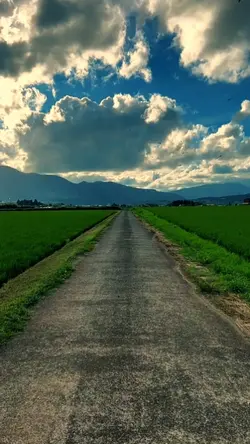 Langit