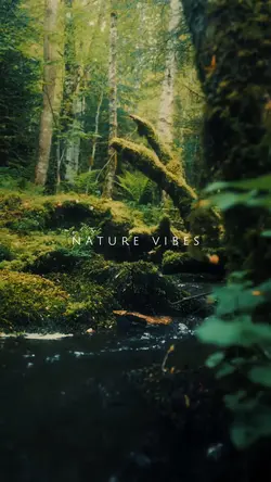 Nature Vibes
