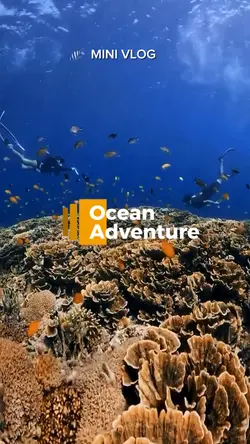 Ocean Adventure 