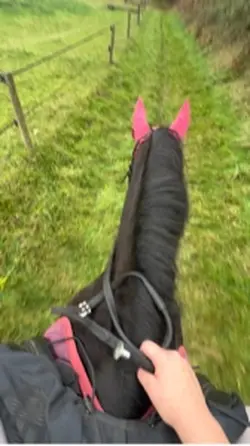 zoomies 😛