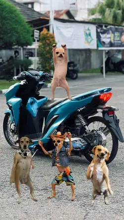 trend a**ing joged
