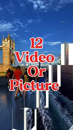 12 video or picture 