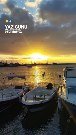 Yeni şablon 
