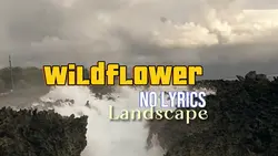 Wildflower no lirik