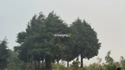 boleh kamu keliling