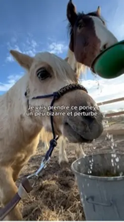 Un peu bizarre et 