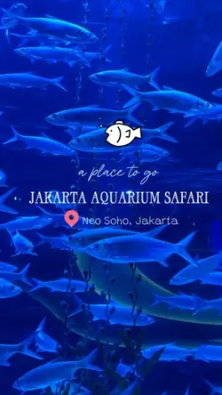 Aquarium 🐟