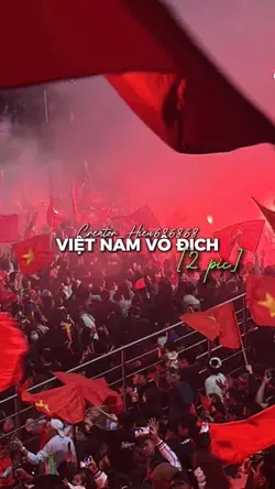 VIỆT NAM VÔ ĐỊCH