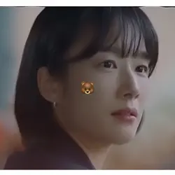 23 iu template #5 