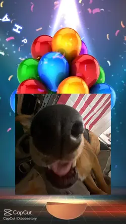 Happy birthday to yo