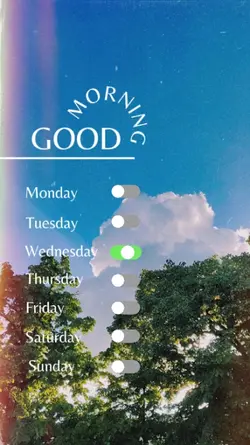 Wednesday Morning