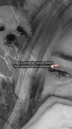Yo te prometo