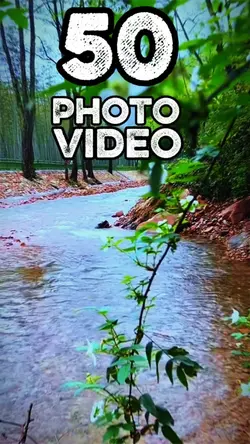 50 clip or photo 
