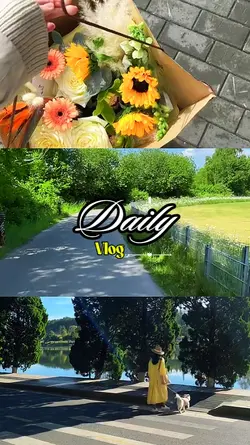 DAILY VLOG