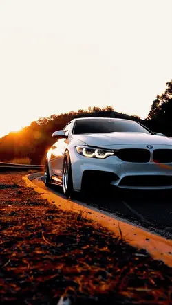 🐅BMW 🐅>3CLIP< 