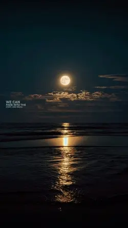 beach at night