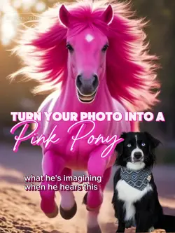 Pink Pony Club i2v