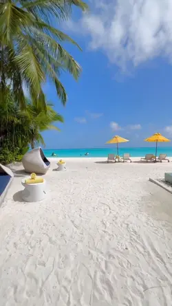 Vlog Vlog Beach